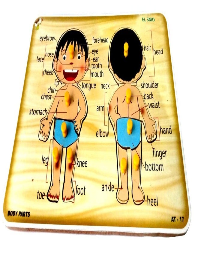 EL SMO Human Body Parts Wooden Puzzle Games and Learning Educational Board for Kids Wooden Puzzle for Creative Kids with knob - Image 4